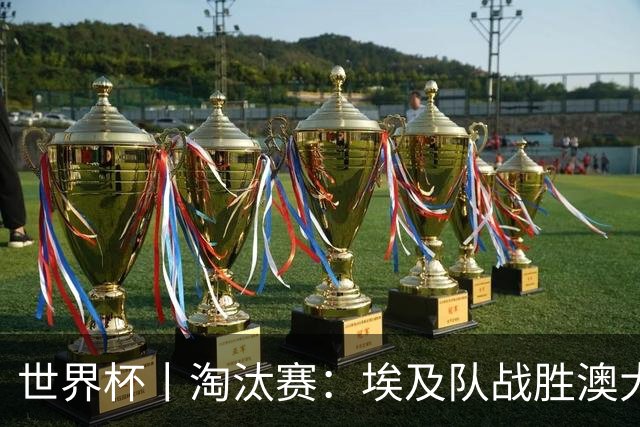 世界杯丨淘汰赛：埃及队战胜澳大利亚队