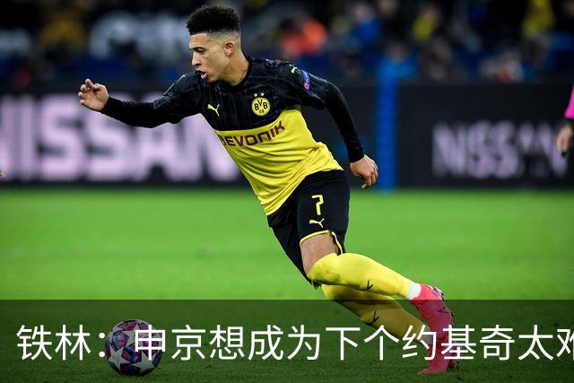 铁林：申京想成为下个约基奇太难了 火箭频繁变动影响了他的性格